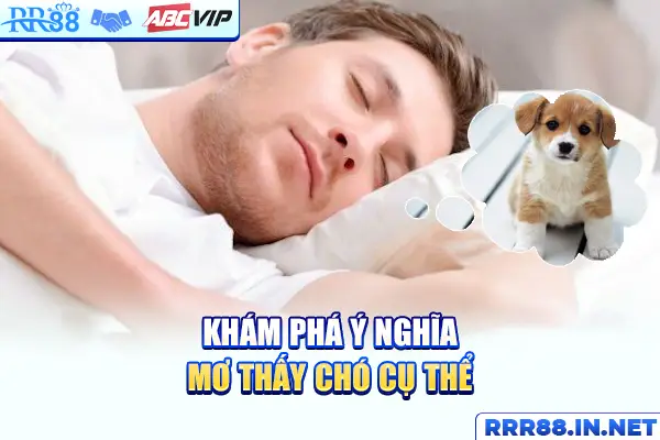 Khám phá ý nghĩa mơ thấy chó cụ thể